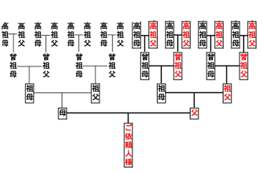 家系図
